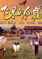 飞来的仙鹤The On the Fly coming Red-Crowned Crane