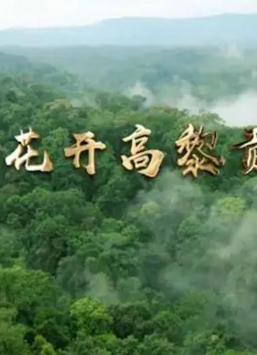 花开高黎贡