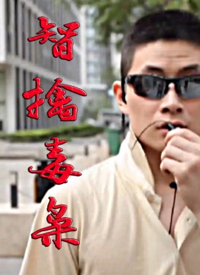 智擒毒枭