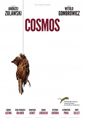 黑暗宇宙Cosmos