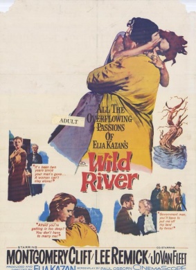 狂澜春醒Wild River