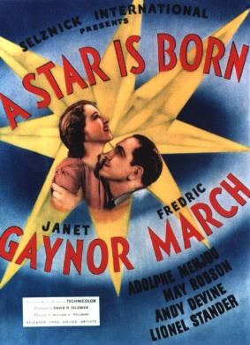 一个明星的诞生A Star Is Born